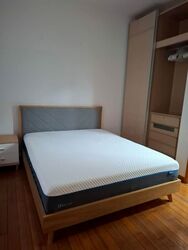 8 @ Mount Sophia (D9), Condominium #575613161